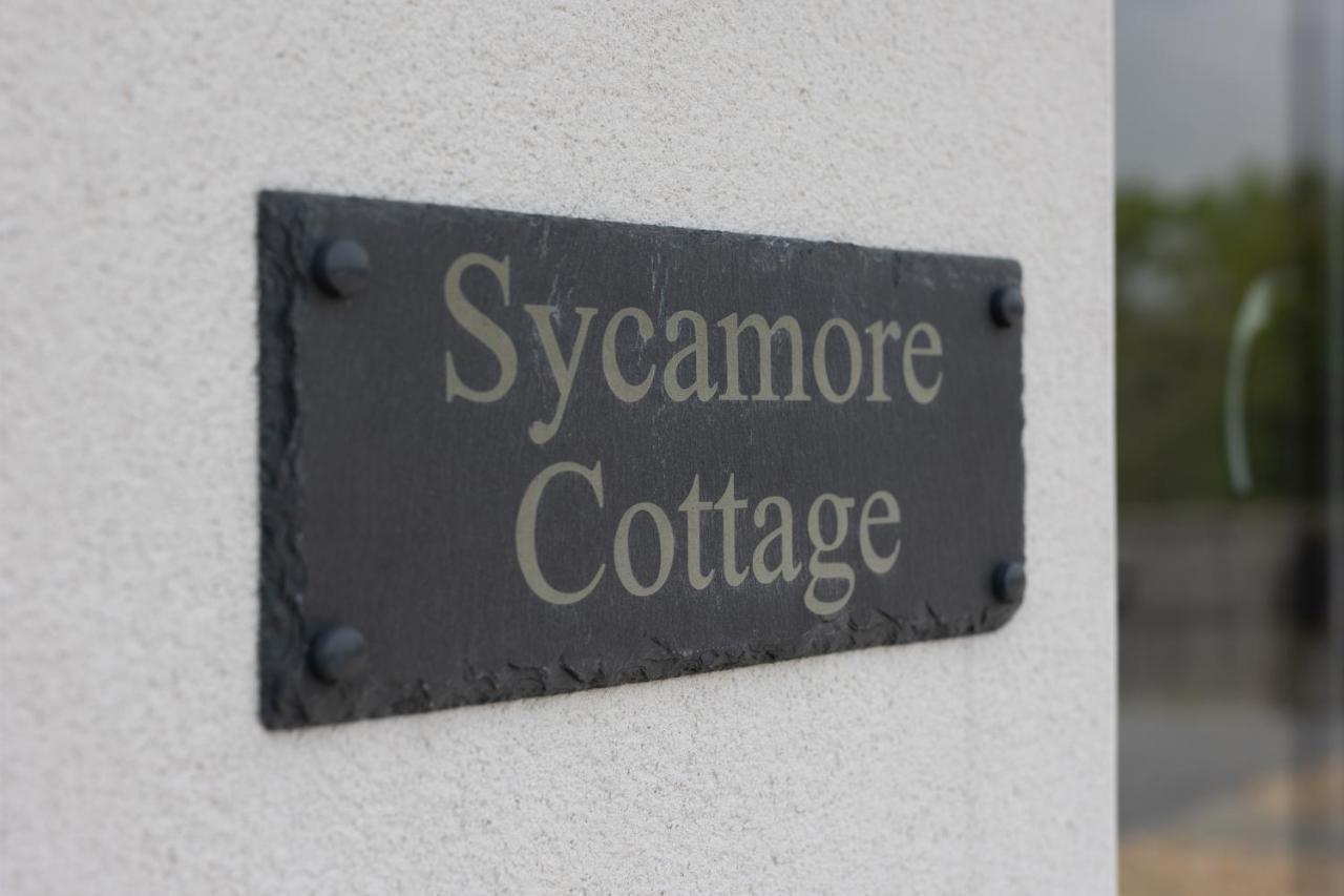 Sycamore Cottage Tenby Zewnętrze zdjęcie